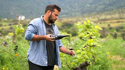 En la Región del Maule se elabora más del 40% de la producción de vinos de Chile, gracias al trabajo que se realiza en los valles de Curicó, Del Maule, Cauquenes y Loncomilla.