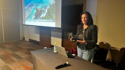 Michele Etchevers, Bahia Principe.