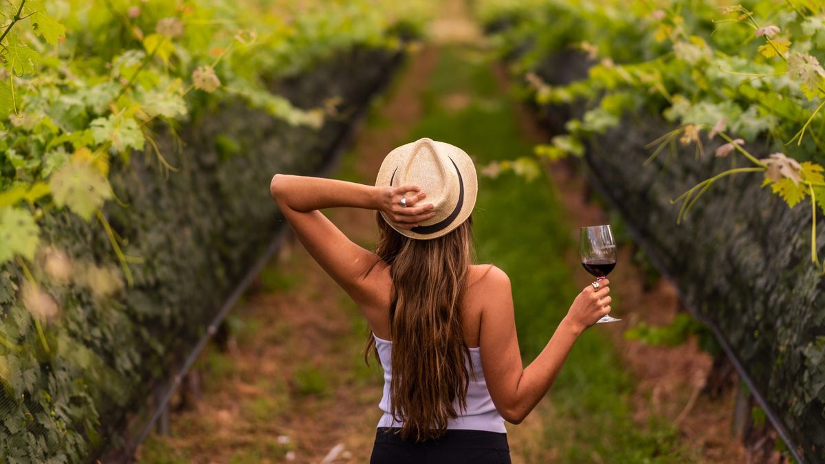 La Rioja: descubrí la Ruta del Vino Riojano y lo que necesitás saber para recorrerla.&nbsp;