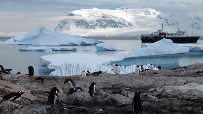 Mediante los cruceros los turistas podrán acercarse el fantástico mundo de la Antártida.