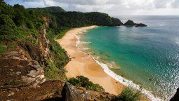 altText(Brasil exige test PCR negativo a partir del 30 de diciembre)}