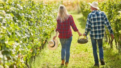 Mendoza: conocé la experiencia más exclusiva para vivir el Carnaval y la Vendimia 2025