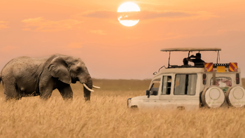 Descubrí esta increíble experiencia de viaje en África.