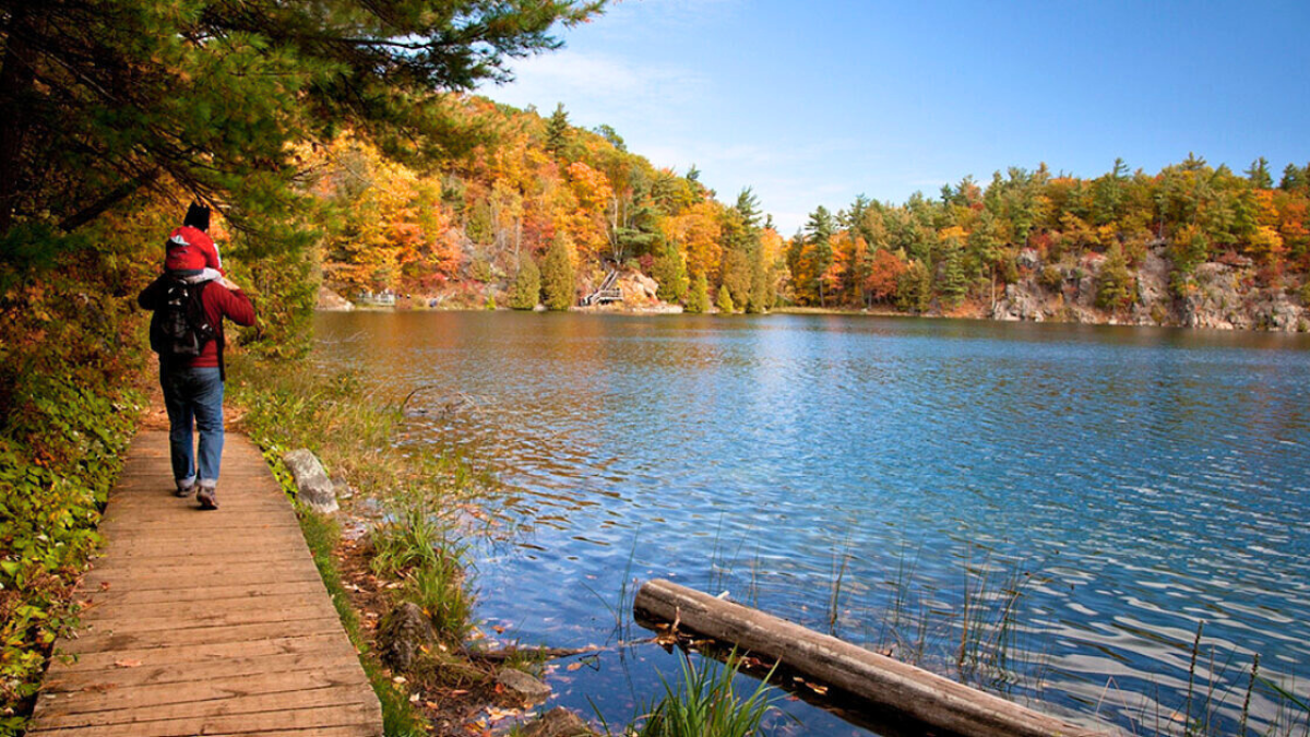 Gatineau Park es la parada perfecta para quienes disfrutan la naturaleza y las actividades al aire libre.