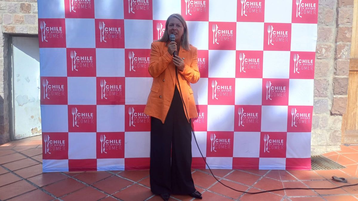 Subsecretaria de Turismo, María Paz Lagos. Subsecretaria de Turismo, María Paz Lagos.