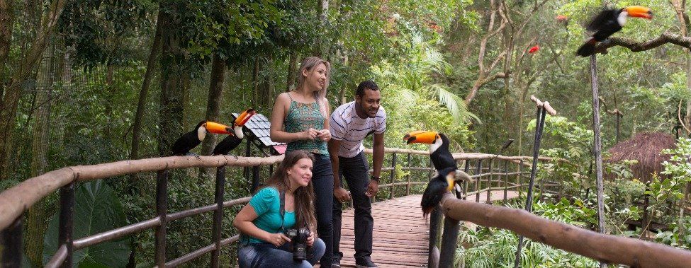 Visitar el Parque Das Aves con niños es una experiencia inmersiva y educativa sobre la Mata Atlántica. Si visitás Cataratas del Iguazú no te podés perder de este santuario.