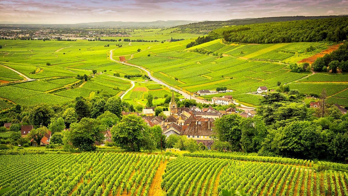 Francia: los pueblos de Borgoña despliegan una belleza singular rodeada de los mejores viñedos del mundo.