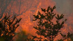 Conaf intensificó advertencias a turistas tras acciones con riesgos de incendios forestales en Parques Nacionales.&nbsp;