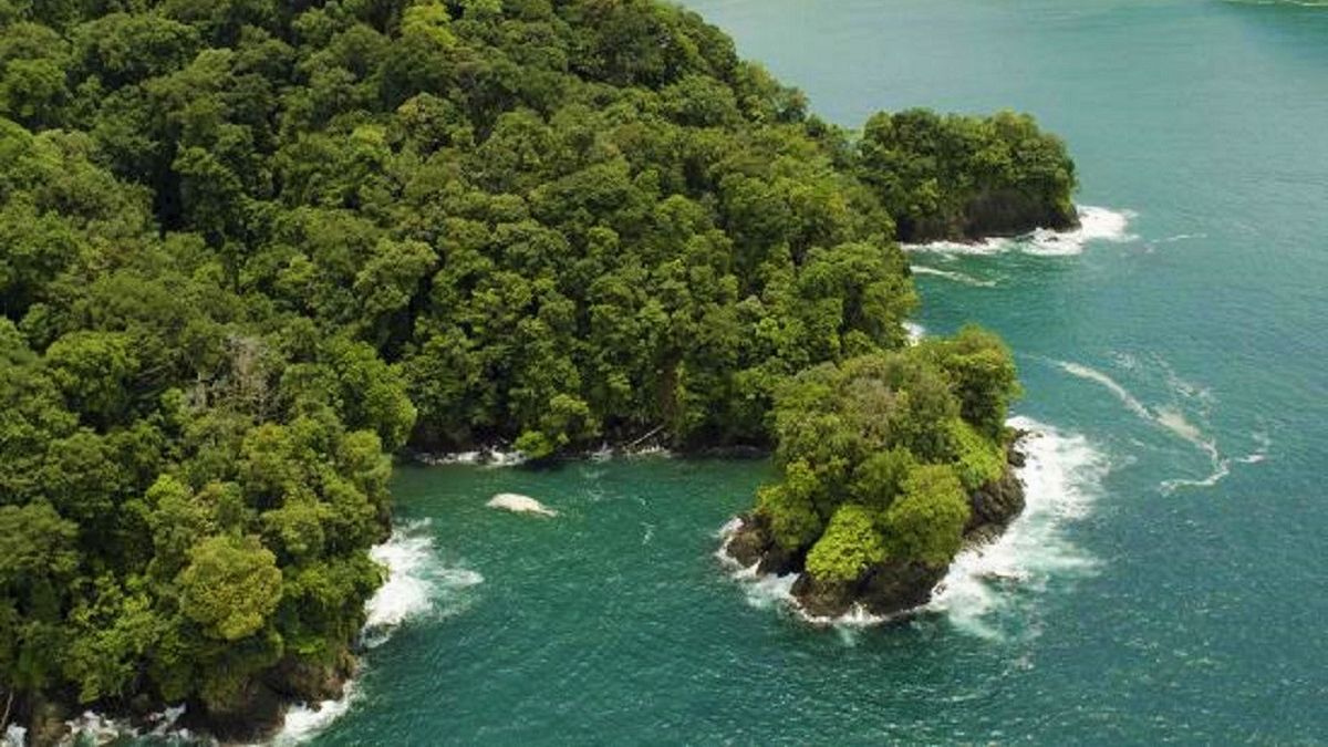 Selva y playas en Chocó