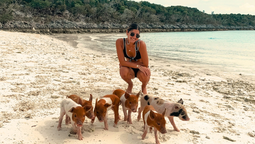 Bahamas es un paraíso en el Caribe que debes conocer en tus próximas vacaciones.