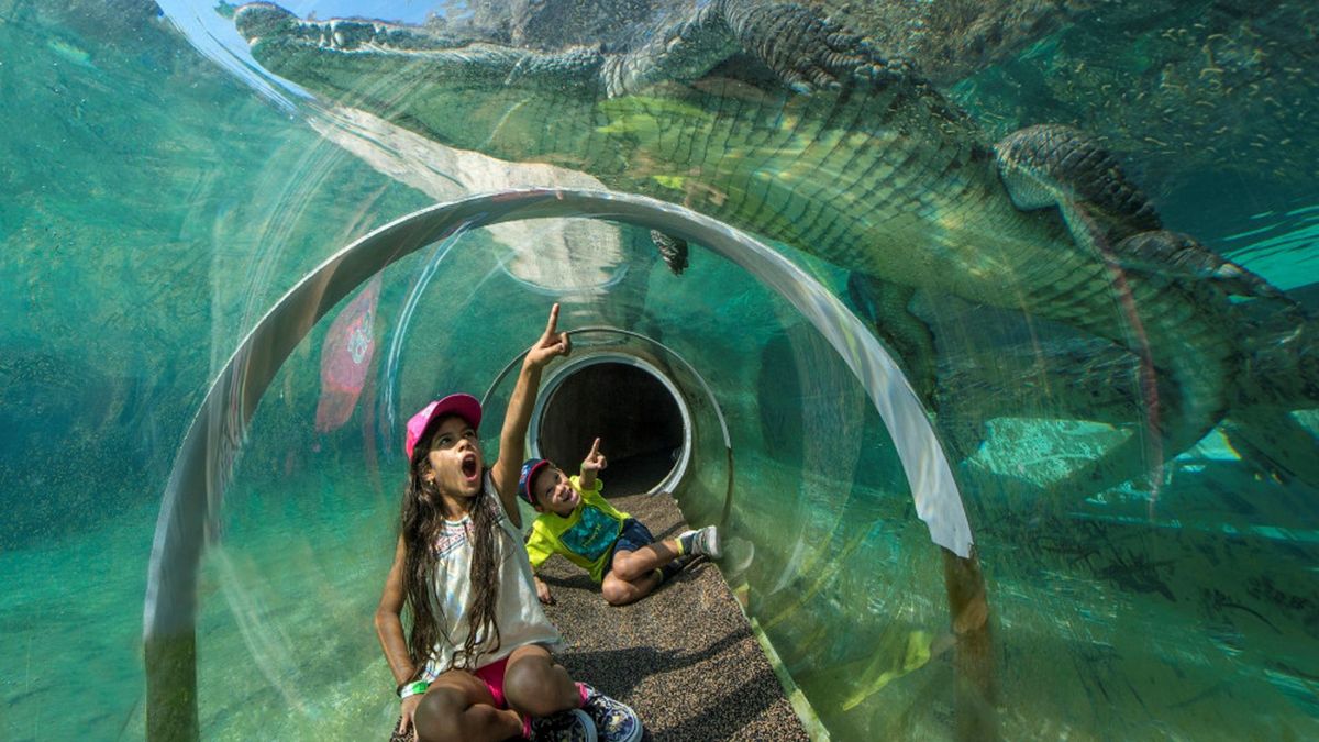 Grandes descuentos para actividades en Miami.