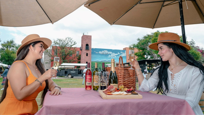Vive las Fiestas de Vendimia en estos viñedos de Querétaro.