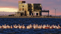 altText(Santa Fe: descubrí el enigmático hotel que está sumergido en una laguna)}