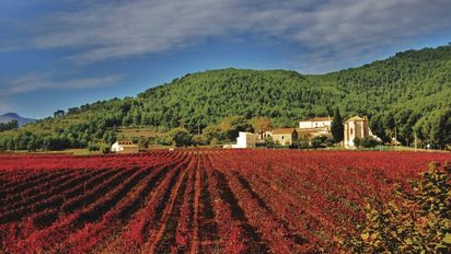 Cataluña: el Govern destinará € 9 millones para impulsar una serie de iniciativas con el objetivo de posicionar a Cataluña como gran referente mundial de la enogastronomía.