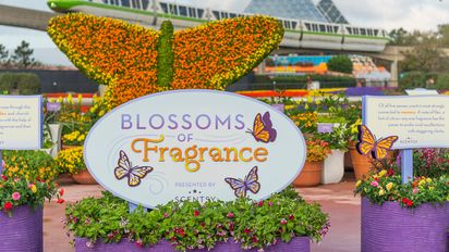 La primavera comienza a florecer en EPCOT.