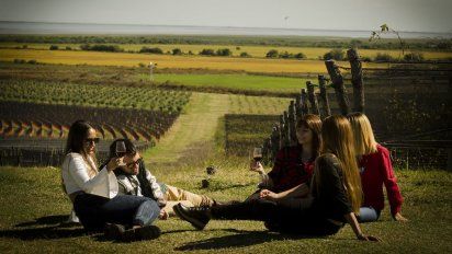 Escapadas en primavera: disfrutá de los mejores paisajes y vinos en Entre Ríos