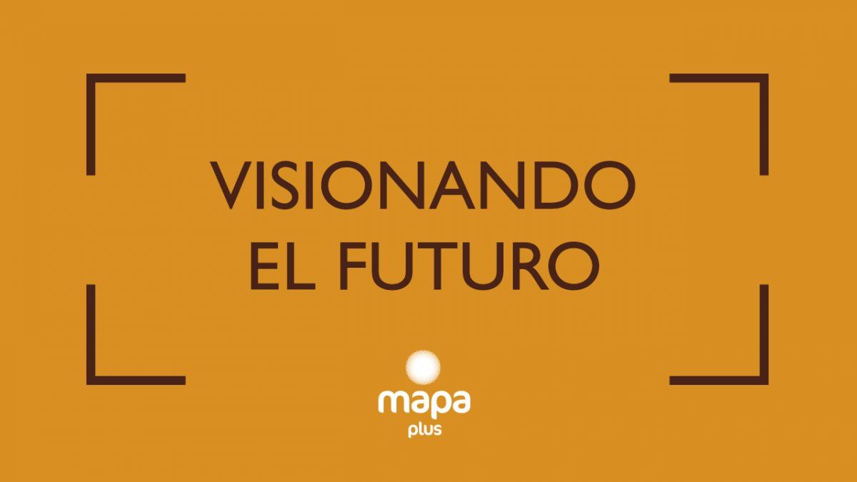 Mapaplus, acciones para el futuro.