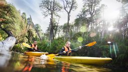 Kayak en el río Cautín, una de las actividades imperdibles del verano.