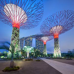 Gardens at the Bay conjuga naturaleza y diseño.