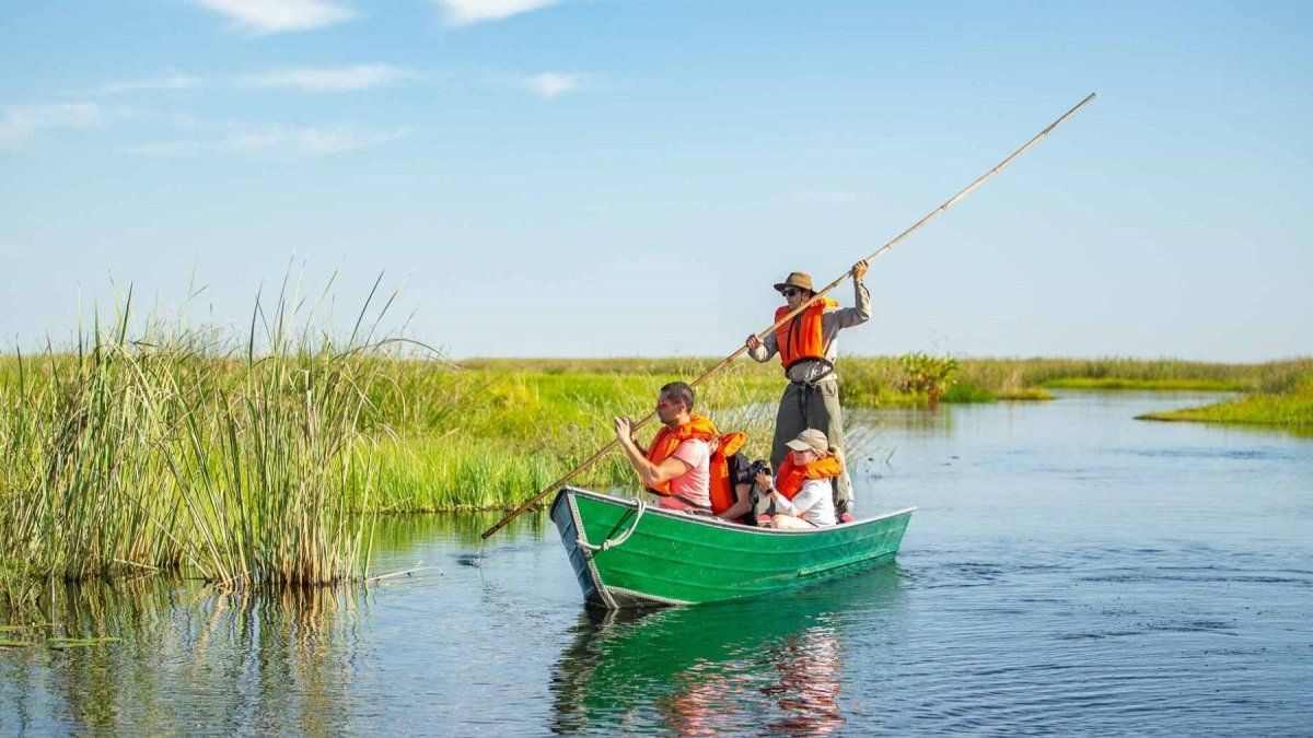 Los Esteros del Iberá constituyen uno de los humedales más grandes del mundo.