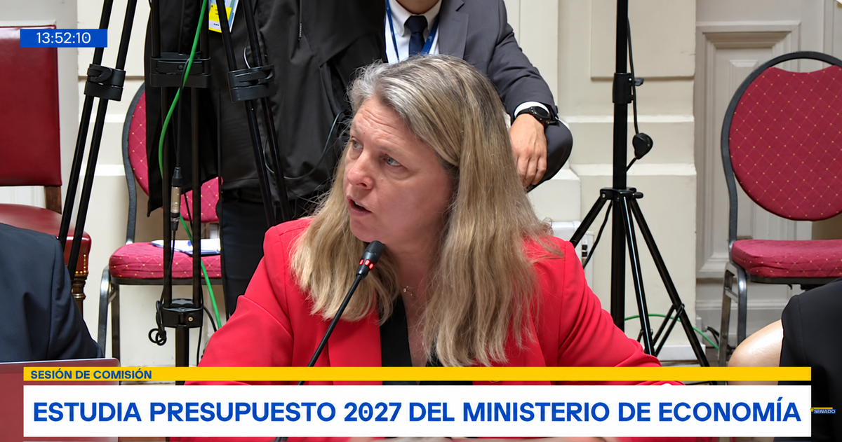 Subsecretaria de Turismo, María Paz Lagos, durante su presentación en la Primera Subcomisión Especial Mixta de Presupuestos.