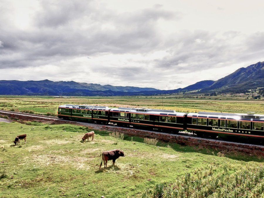 Tren de Inca Rail - Ladevi Medios y Soluciones Tren de Inca Rail