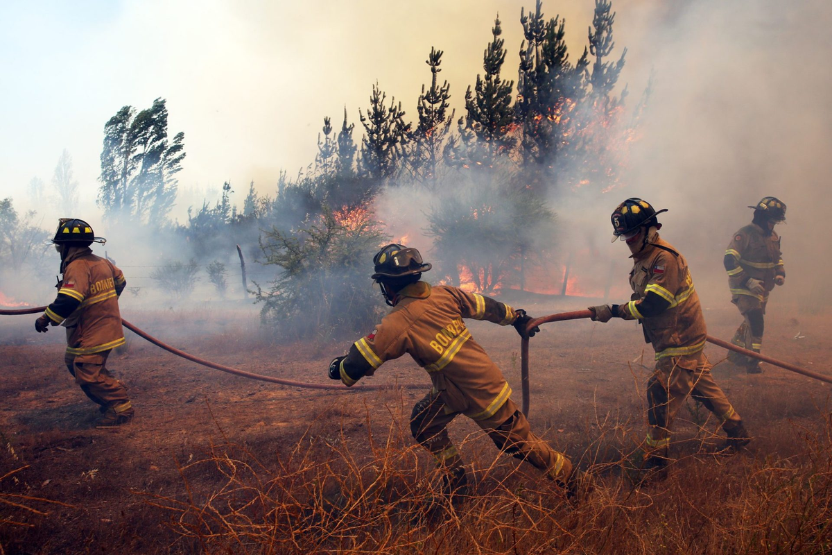 La Federación de Empresas de Turismo de Chile propuso un plan de promoción de turismo en temporada baja para que el rubro pueda recuperarse de las afectaciones de los incendios forestales.