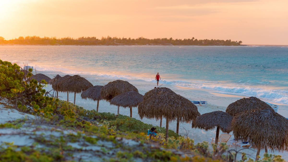 Cuba: Cayo Largo es uno de los destinos tendencia entre los argentinos para visitar la isla.