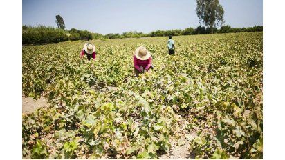 Lima: sabores que conquistan al mundo