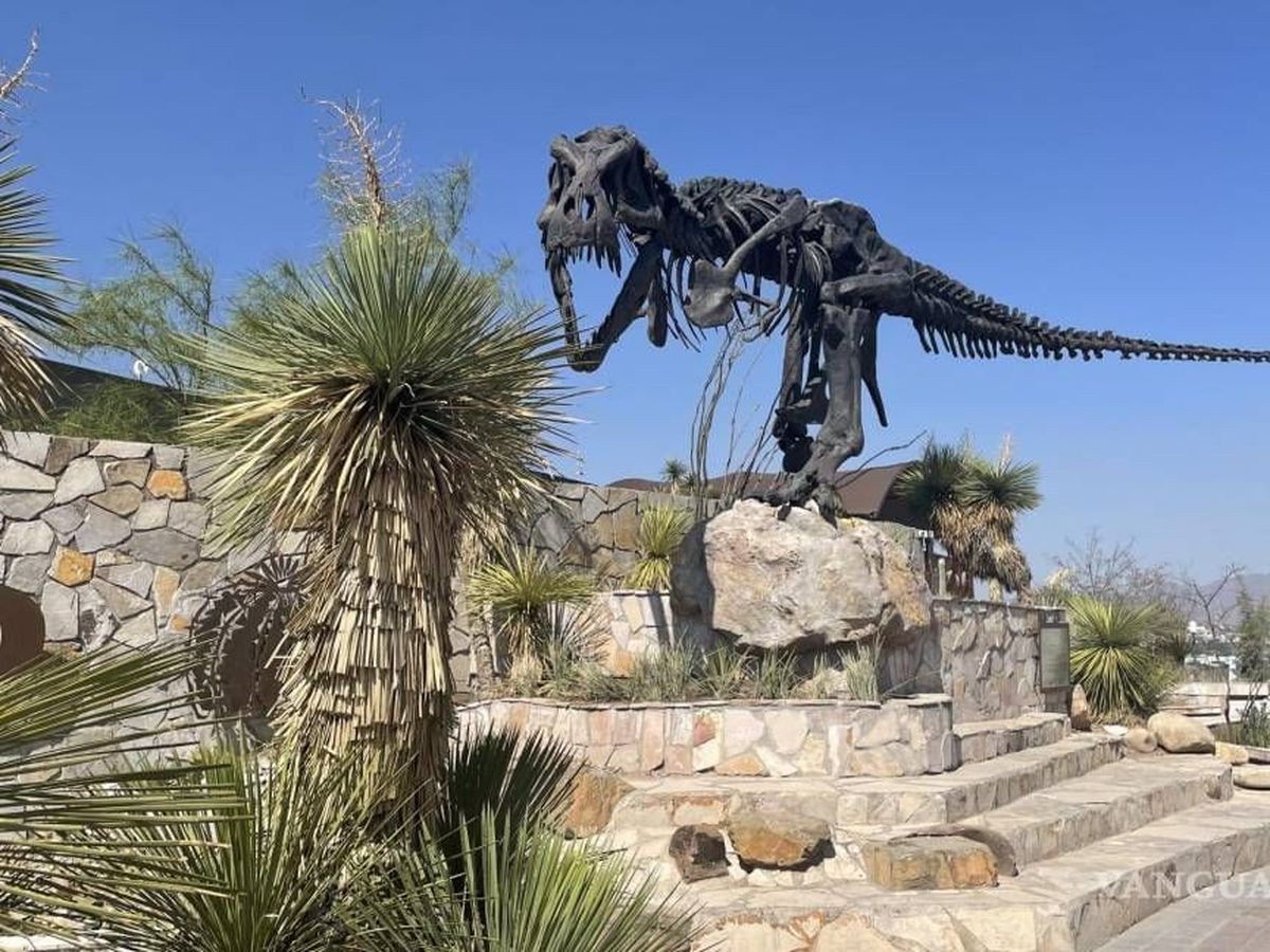 Si vas a Saltillo el Museo del Desierto es una parada obligatoria.