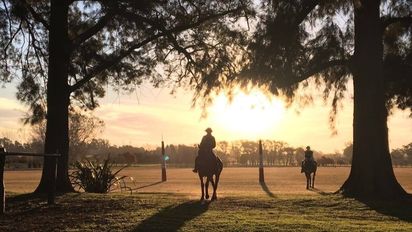 Día de campo y polo en la provincia de Buenos Aires: una experiencia única para turistas y locales.