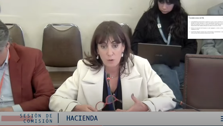 La presidenta ejecutiva de Fedetur, Mónica Zalaquett, presentó frente a la Comisión de Hacienda.&nbsp;