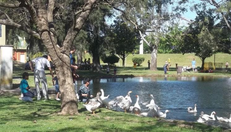 El Parque de la Ciudad de Buenos Aires es un espacio verde que invita a disfrutar de grandes propuestas durante el fin de semana.
