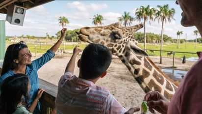 Kissimmee: Wild Florida Adventure Park.
