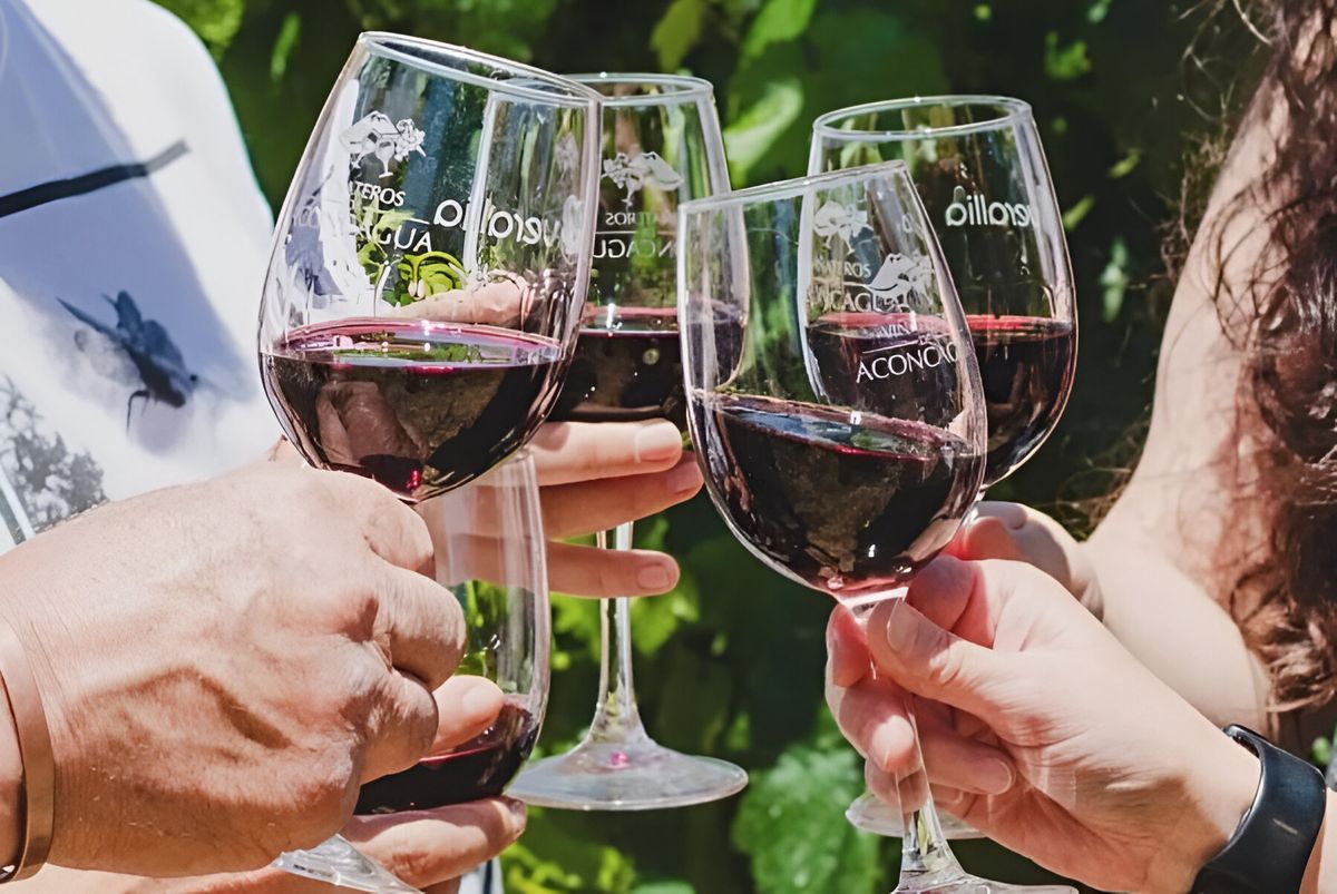 Vive una experiencia inolvidable en la Fiesta de la Vendimia del Valle de Aconcagua 2025.