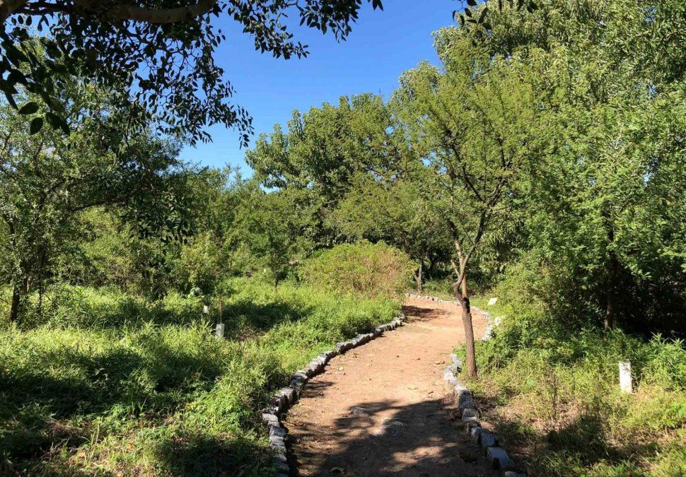 La Reserva Ecológica Lago Lugano es un sorprendente espacio natural de la ciudad de Buenos Aires.