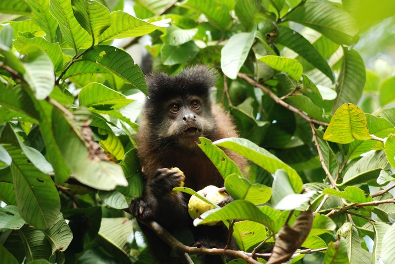 La fauna también está presente en el parque y se la puede observar en los diferentes senderos que atravesamos durante el recorrido.