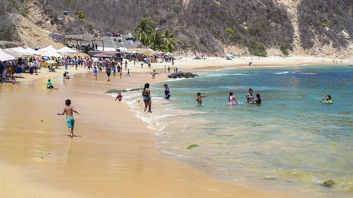 Se prevé que Puerto Vallarta registre una ocupación hotelera de 85 por ciento. Se prevé que Puerto Vallarta registre una ocupación hotelera de 85 por ciento.