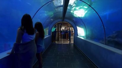 Santa Marta es la sede del primer túnel acuario de Colombia.