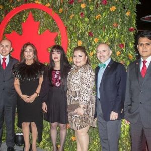 - Ladevi Medios y Soluciones
