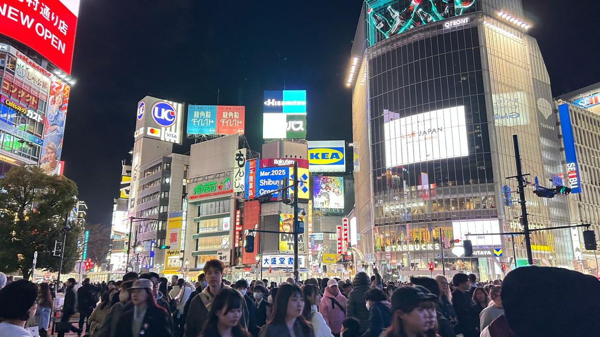 King Midas opera dos salidas grupales acompañadas a Corea y Japón.