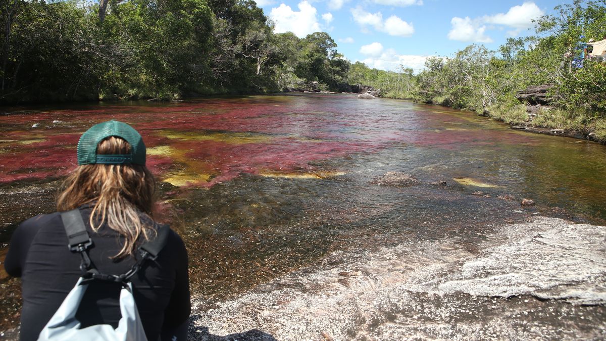 Colombia cuenta con ríos de colores que ofrecen un espectáculo natural vibrante y único en medio de impresionantes paisajes.