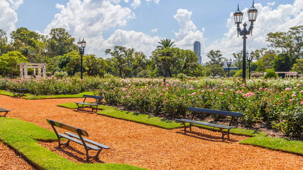 Los bosques de Palermo son uno de los espacios naturales más emblemáticos de Buenos Aires.