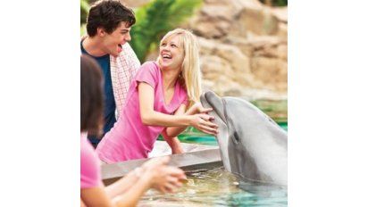 SEAWORLD.
Un sólido compromiso con la naturaleza
