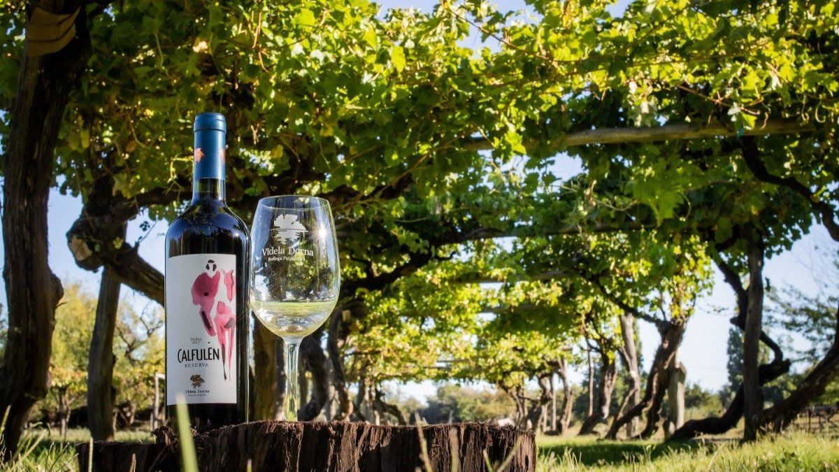 Verano 2025 en Patagonia: en Río Negro el enoturismo se complementa con el turismo paleontológico.