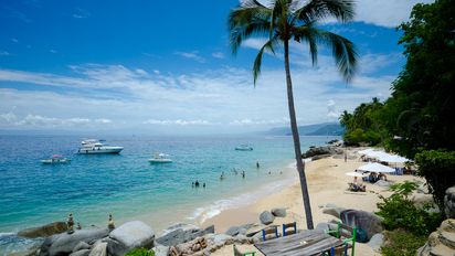 Del total de turistas extranjeros que llegaron vía aérea a Jalisco, 81% son estadounidenses y 14% son canadienses, lo que conjuntamente representa el 95% del mercado internacional en la entidad, según la Secretaría de Turismo del Estado.