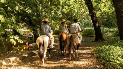 Descubre las espectaculares actividades que tendrán las regiones del centro sur durante Fiestas Patrias.