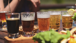 altText(5 actividades para hacer de noche en Bariloche este verano)}