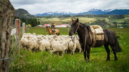La diputada también pide que Aysén tenga protocolos especiales que reactiven el turismo, como Magallanes.&nbsp;
