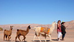 altText(Chile: ¿Qué hay para ver en Atacama, más allá del desierto?)}